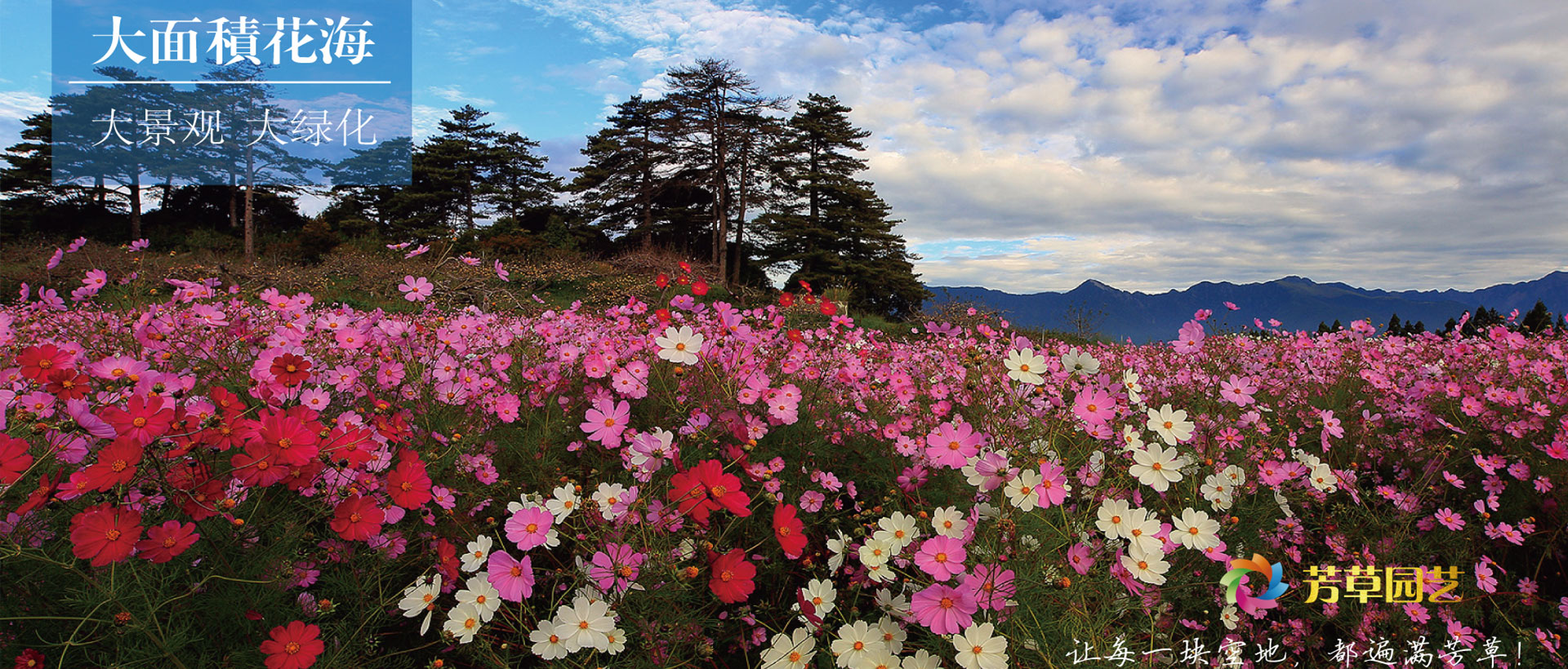 北京芳草園藝