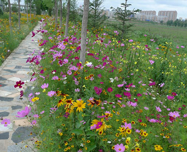 北京芳草園藝